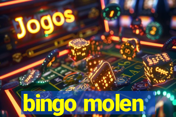 bingo molen