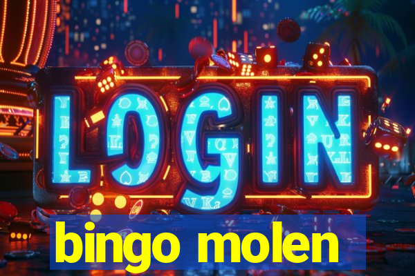 bingo molen