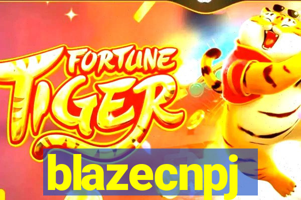 blazecnpj