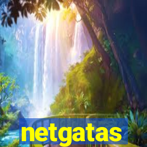 netgatas