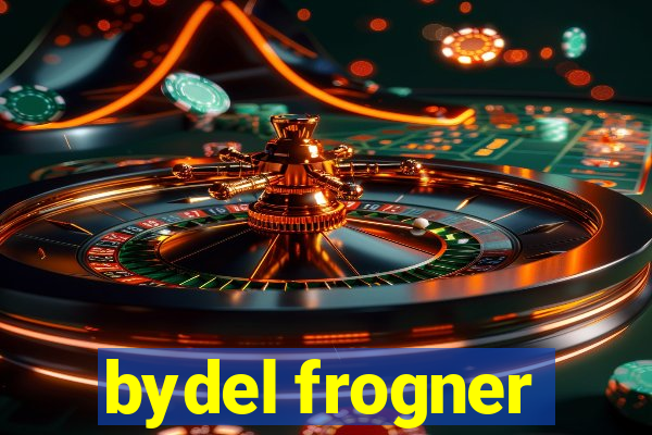 bydel frogner