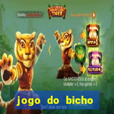 jogo do bicho online como jogar