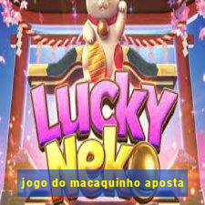 jogo do macaquinho aposta