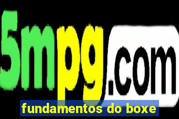 fundamentos do boxe