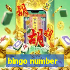 bingo number