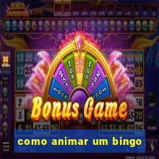 como animar um bingo