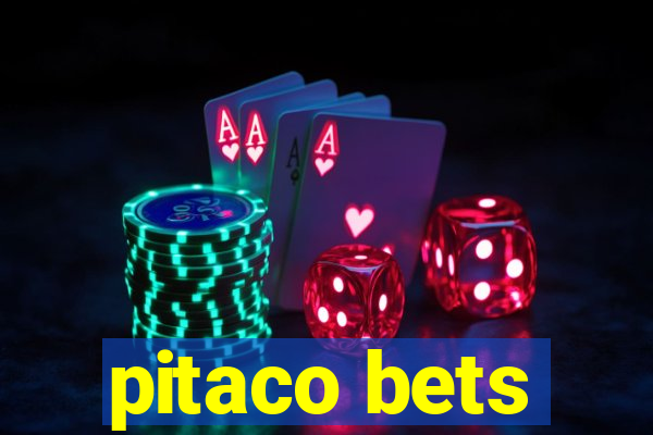 pitaco bets