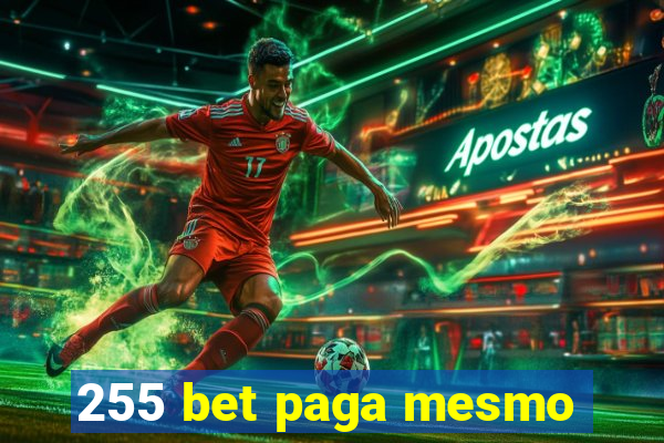 255 bet paga mesmo