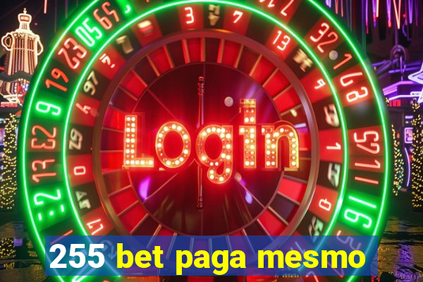 255 bet paga mesmo