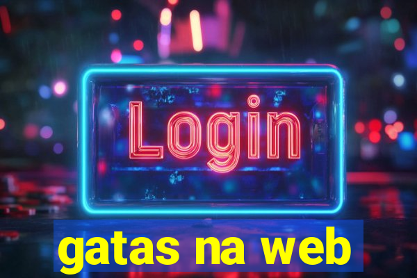 gatas na web