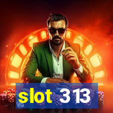 slot 313