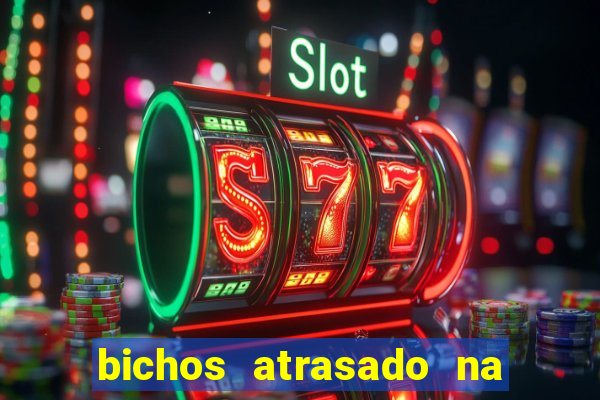 bichos atrasado na loteria dos sonhos