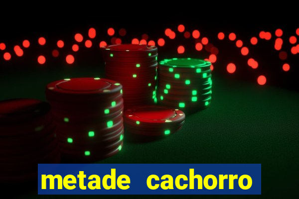 metade cachorro metade gato