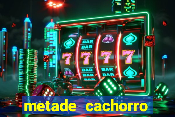 metade cachorro metade gato