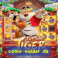 como cuidar da flor fortuna