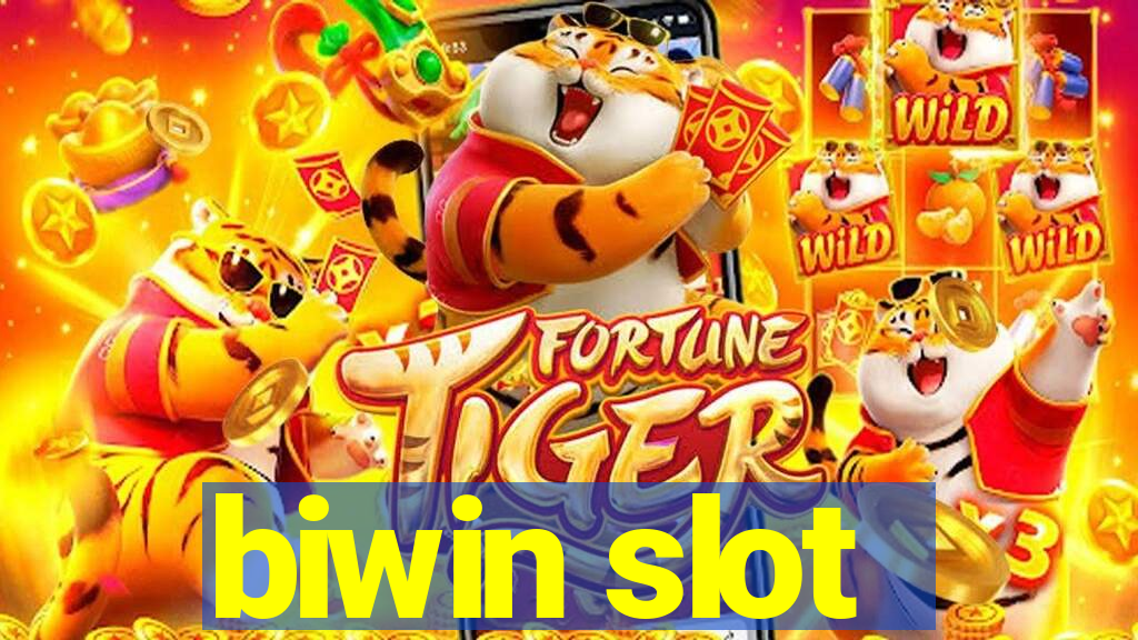 biwin slot