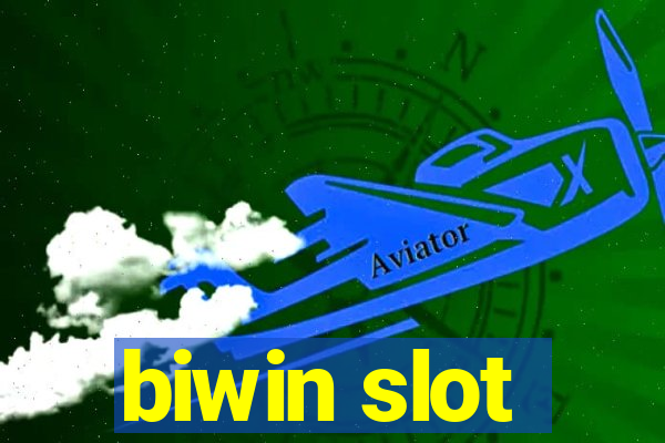 biwin slot