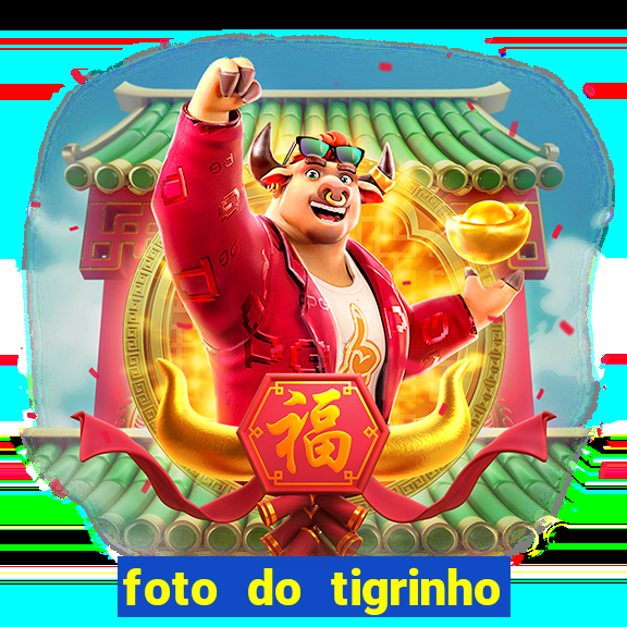 foto do tigrinho do jogo