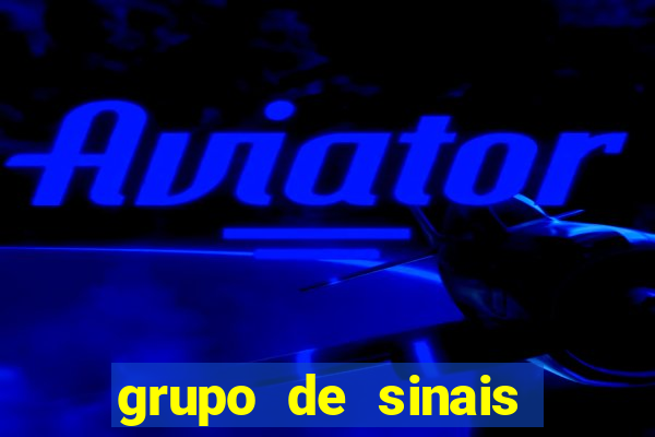 grupo de sinais fortune rabbit