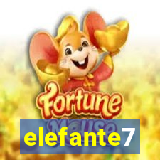 elefante7