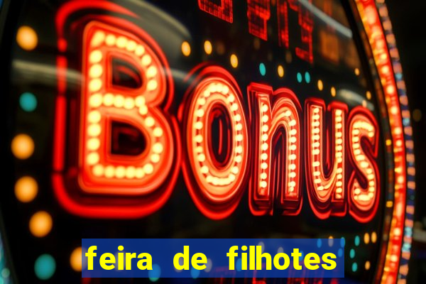 feira de filhotes porto alegre