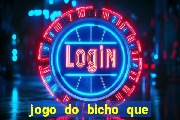 jogo do bicho que da dinheiro