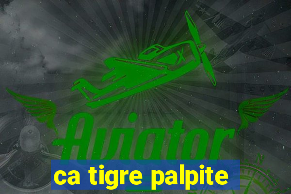 ca tigre palpite