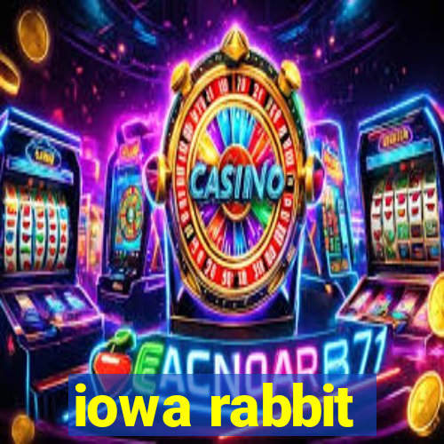 iowa rabbit