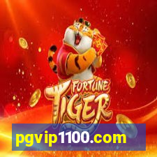 pgvip1100.com