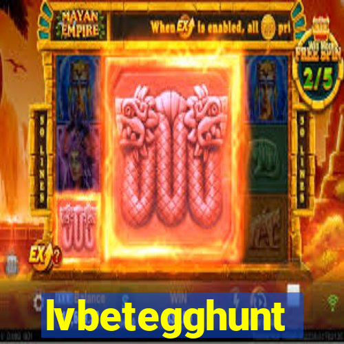 lvbetegghunt