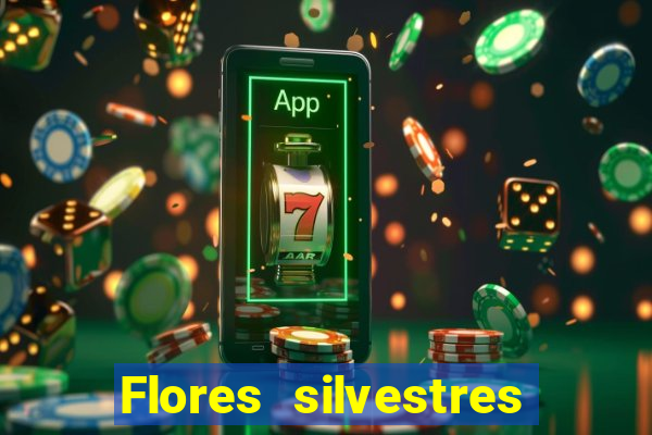 Flores silvestres brasileiras 25