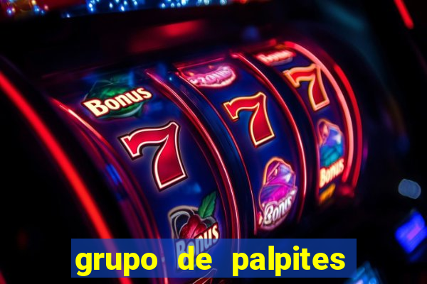 grupo de palpites de futebol whatsapp