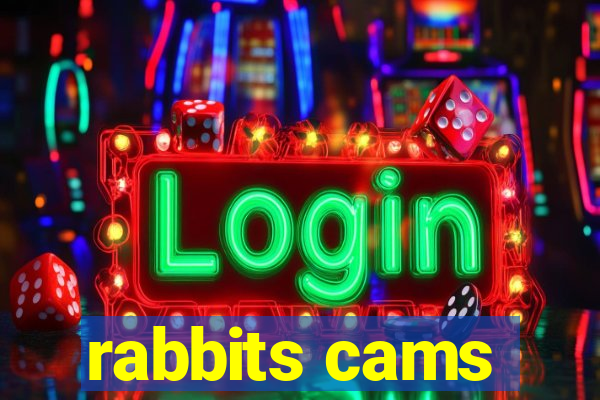 rabbits cams