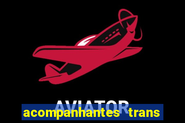 acompanhantes trans porto seguro