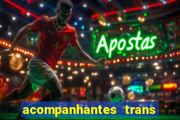 acompanhantes trans porto seguro