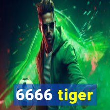 6666 tiger