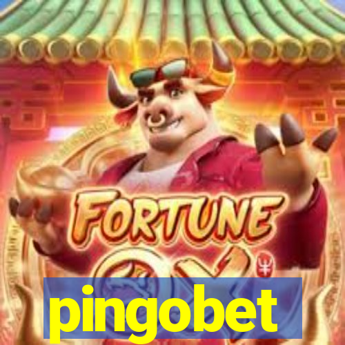 pingobet