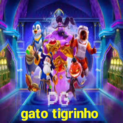 gato tigrinho