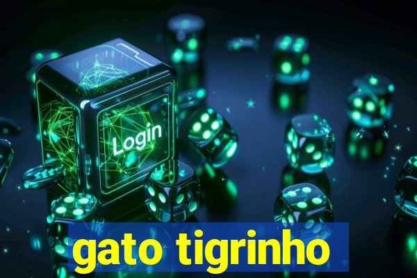 gato tigrinho