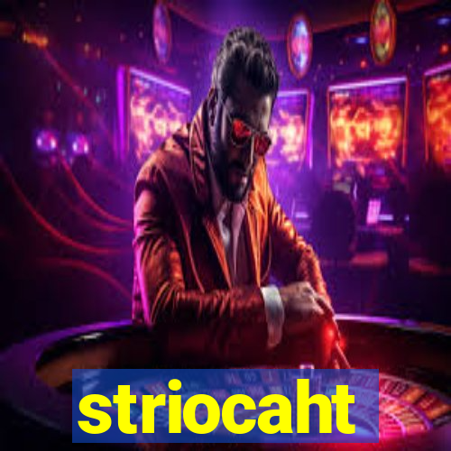 striocaht