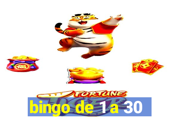 bingo de 1 a 30