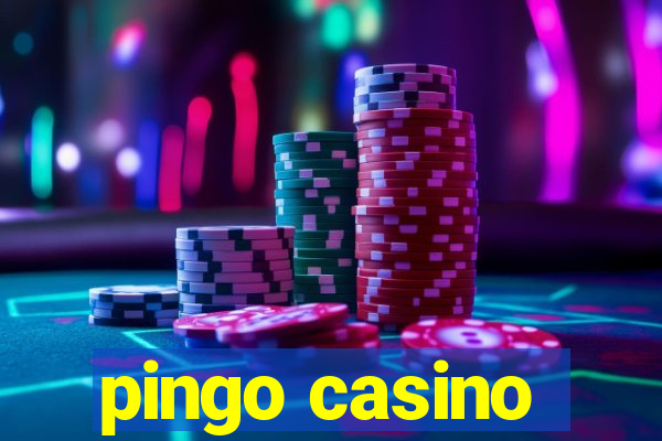 pingo casino