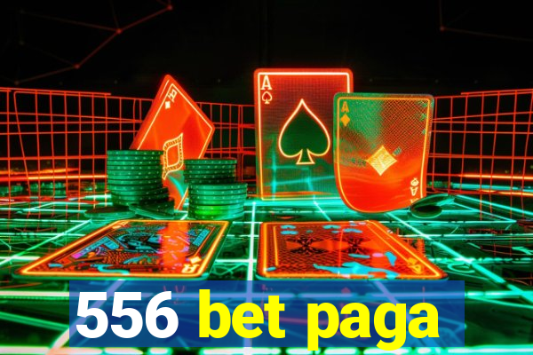 556 bet paga