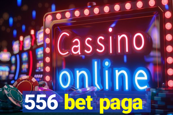 556 bet paga