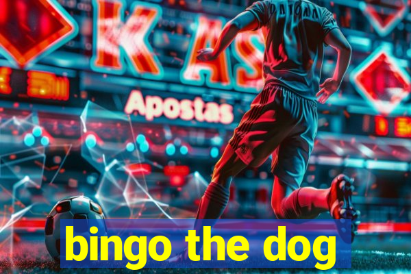 bingo the dog