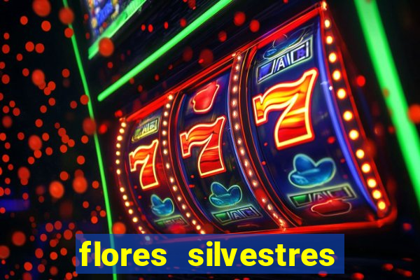 flores silvestres desbravadores desbravadores 25