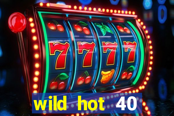 wild hot 40 christmas slot