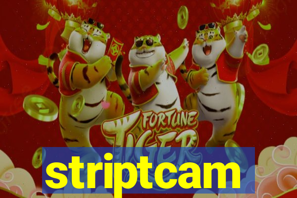 striptcam