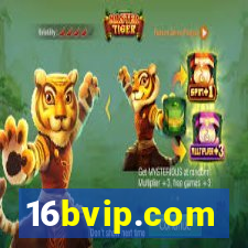 16bvip.com