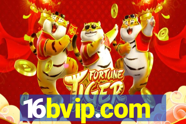 16bvip.com